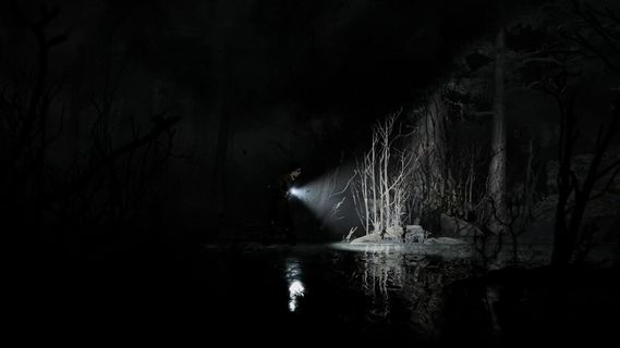 Silver Pines screenshot 5