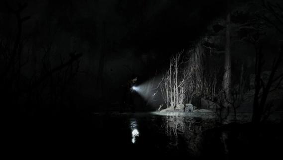 Silver Pines screenshot 5