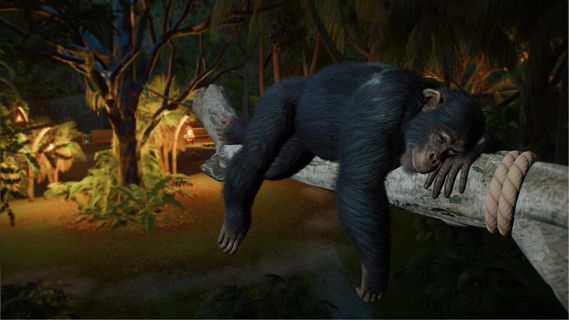 Planet Zoo 2 screenshot 7