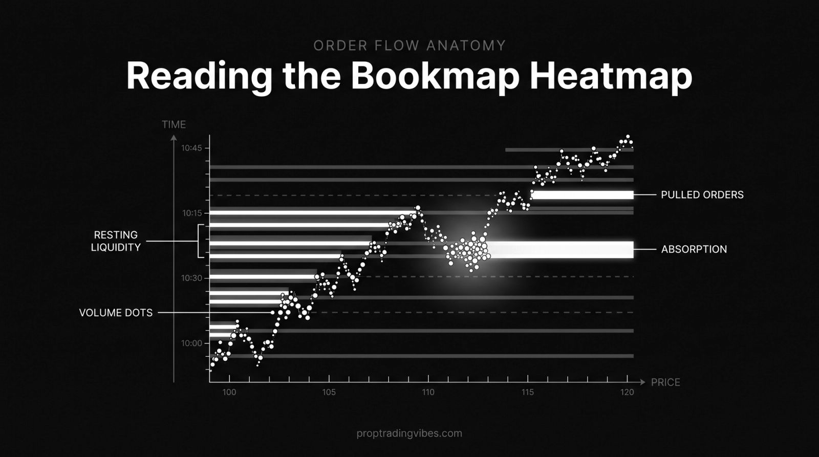 Bookmap heatmap anatomy diagram showing resting liquidity bands, volume dots tracing the traded path, an absorption zone where price stalls against heavy liquidity, and a gap marking pulled orders.