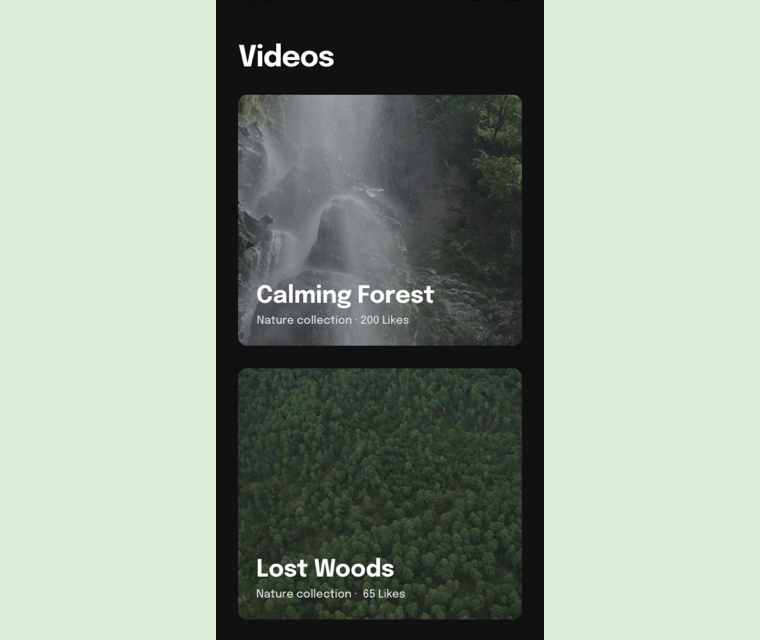 Template preview of Video player