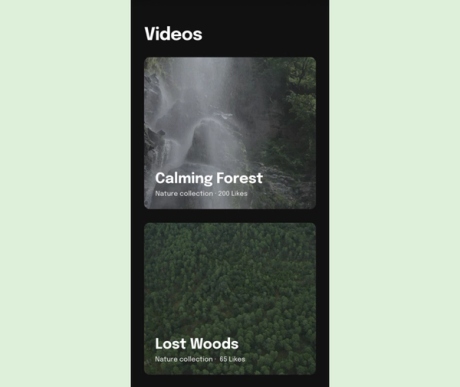 Video player preview.