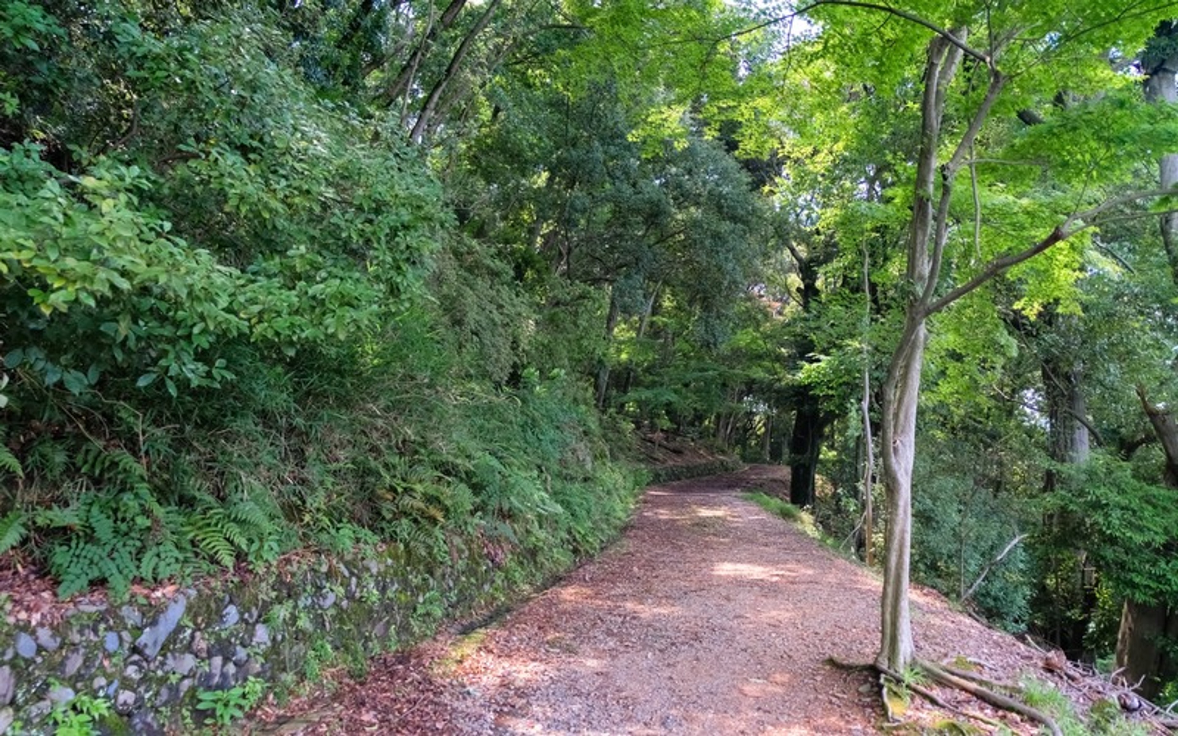 Daikichiyama