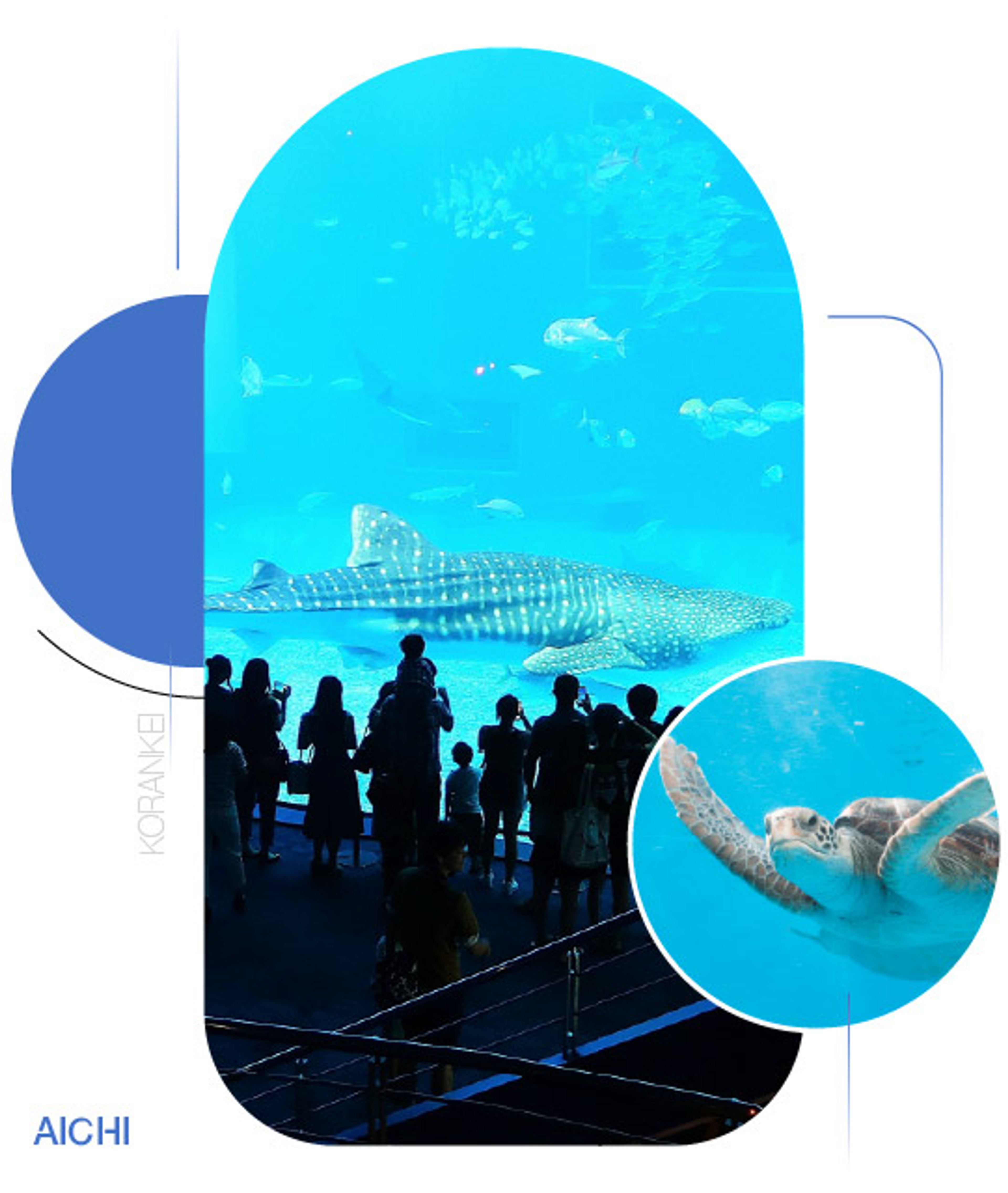 Okinawa Churaumi Aquarium — Thế giới xanh của đại dương
