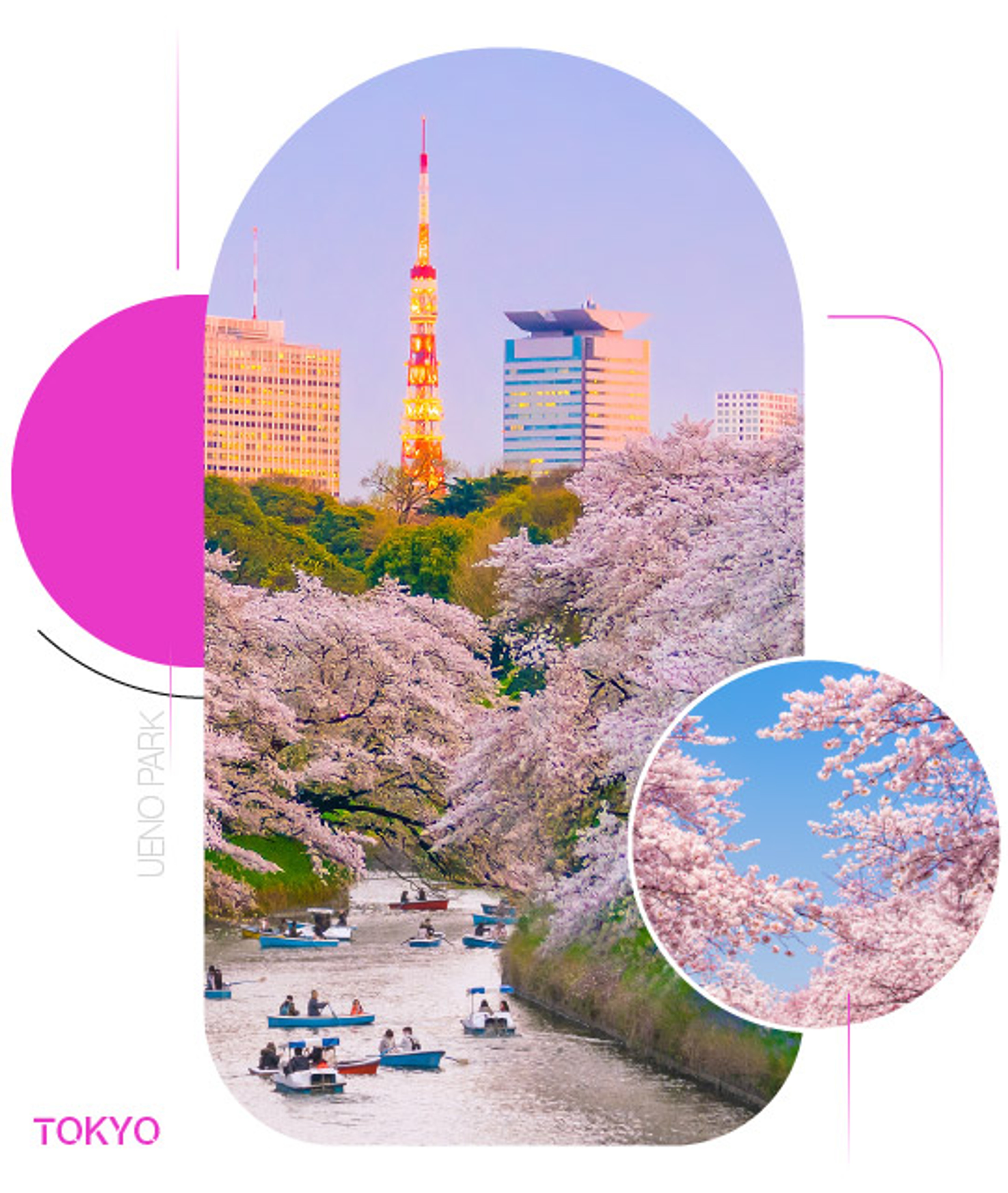 Ueno Park — Mùa sakura giữa lòng Tokyo