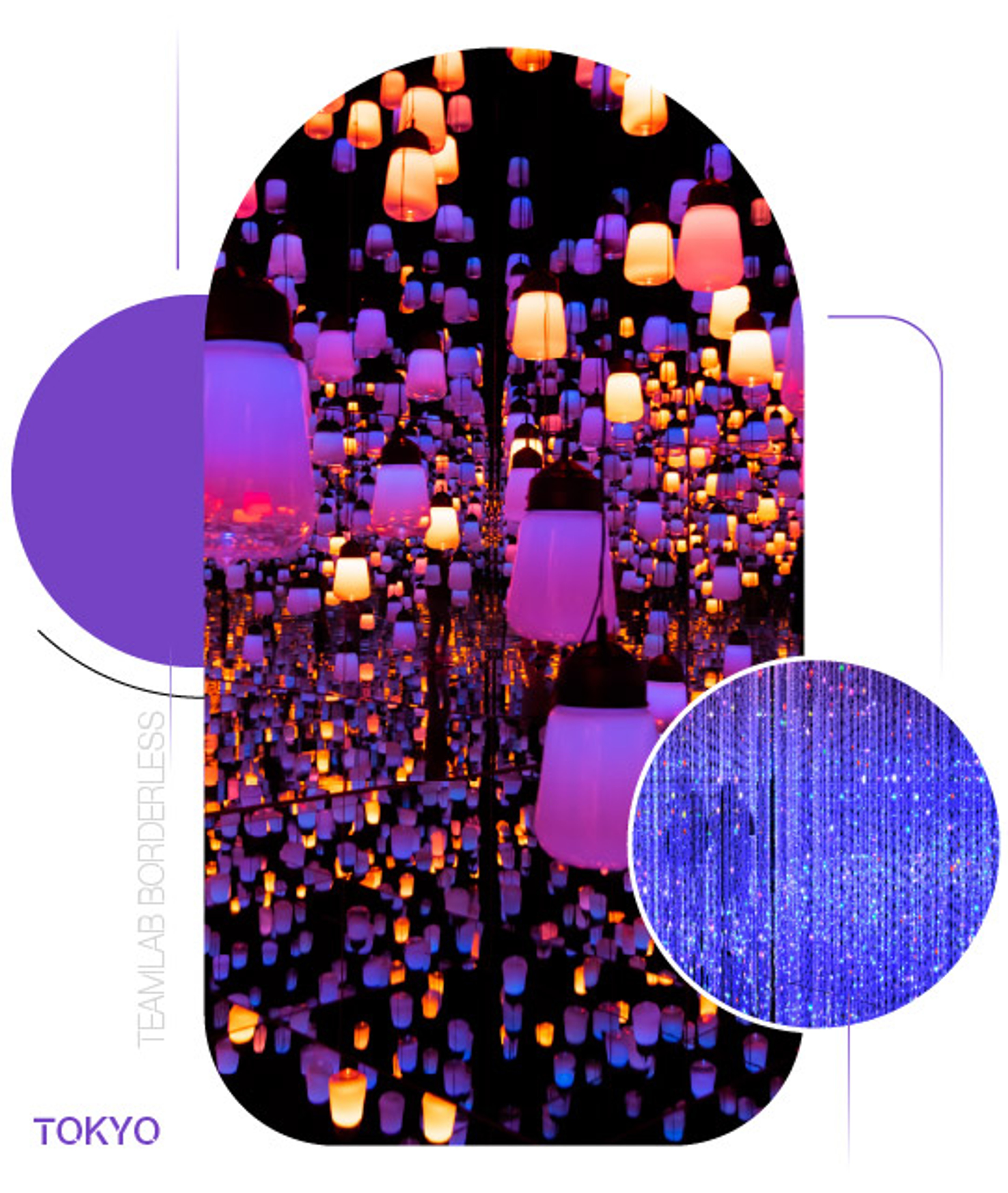 teamLab Borderless — Thế giới không biên giới của ánh sáng
