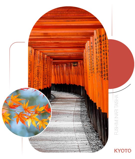 Fushimi Inari Taisha — Những đường hầm torii giữa Kyoto