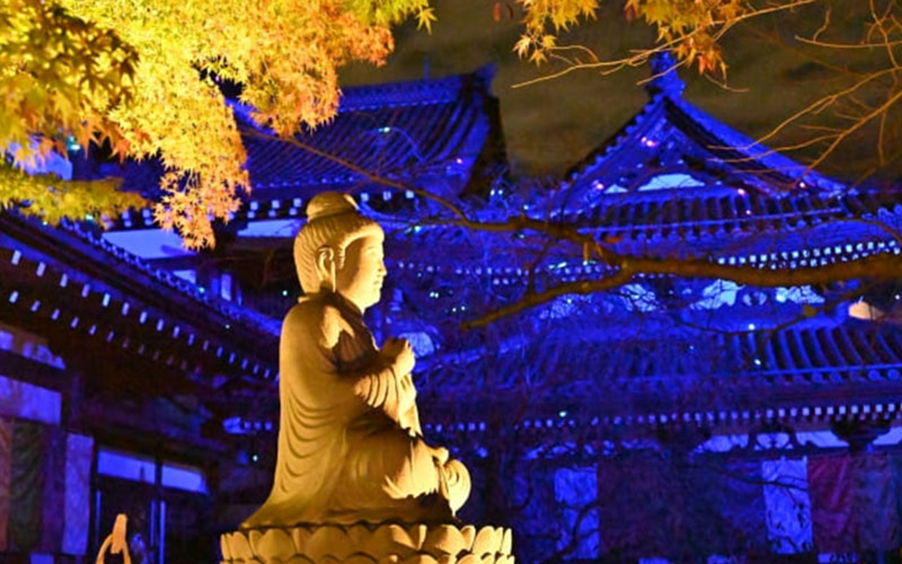 Phật Quan Âm Bồ Tát Kannon cùng toàn bộ khuôn viên chùa được thắp sáng lấp lánh
