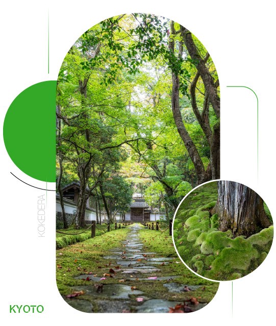 Kokedera — Khu vườn rêu giữa Kyoto