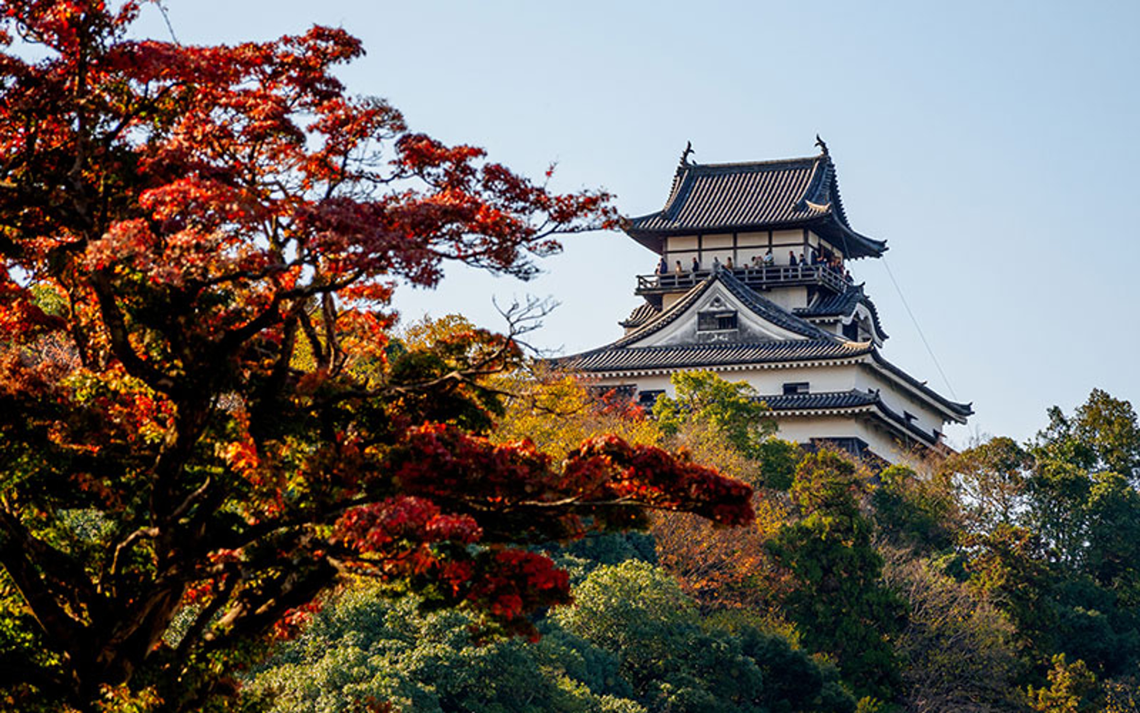 Thành Inuyama