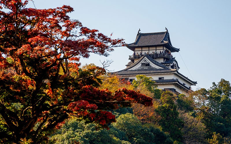 Thành Inuyama