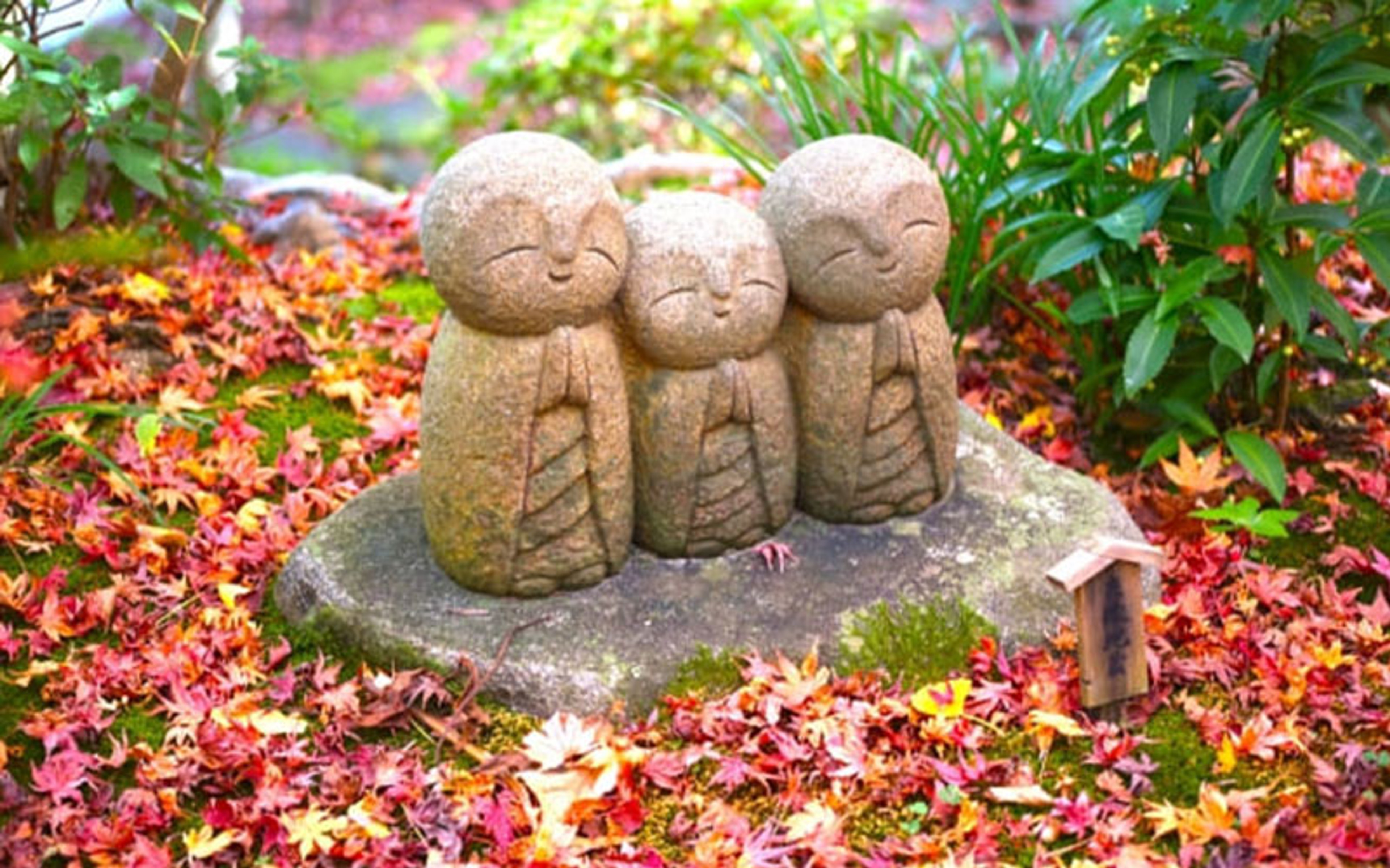 Khung cảnh ngắm lá đỏ mùa thu tại chùa Hasedera Kamakura
