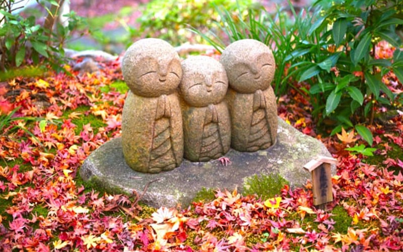 Khung cảnh ngắm lá đỏ mùa thu tại chùa Hasedera Kamakura