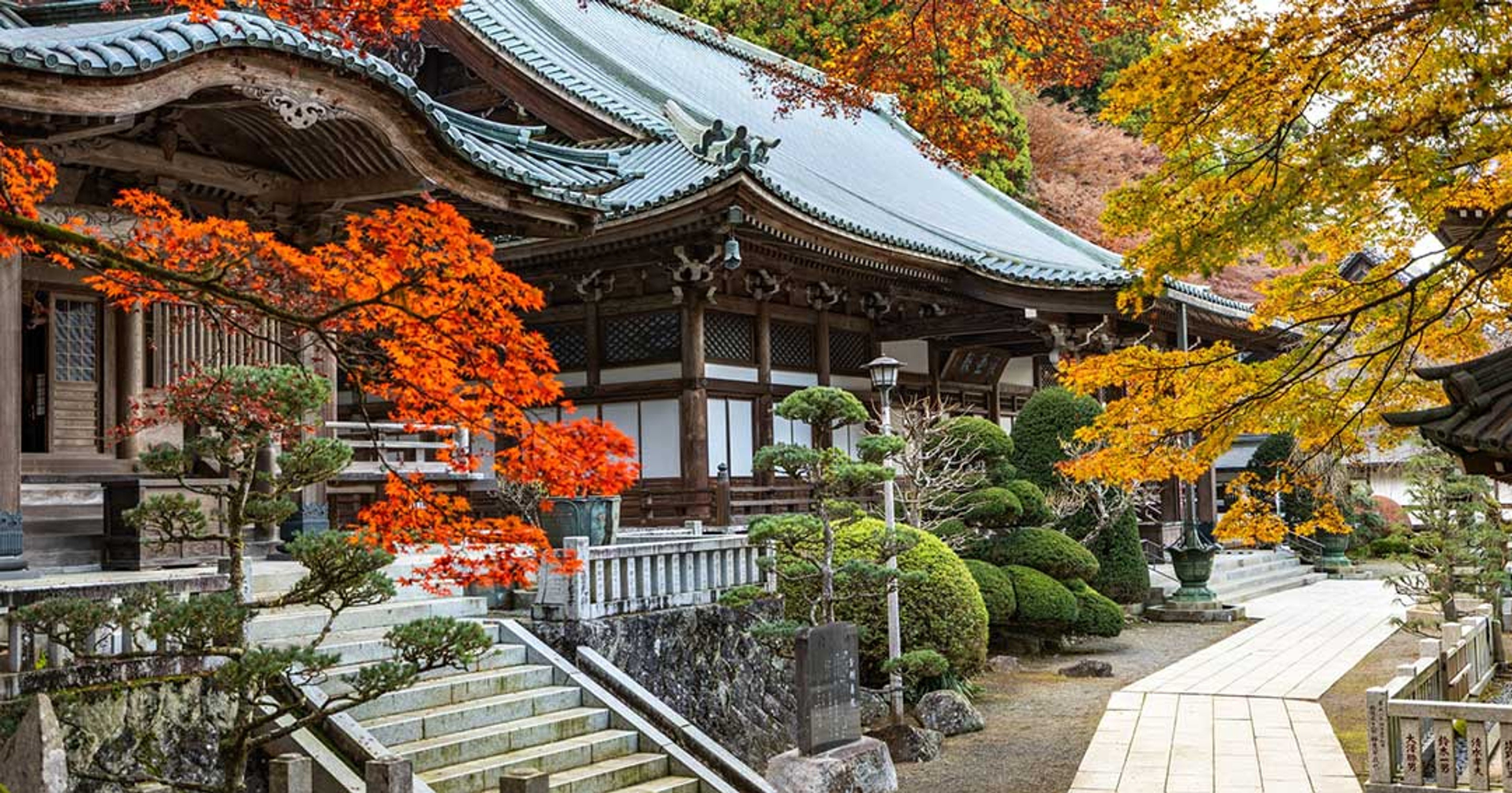 Top 3 Địa Điểm Ngắm Lá Mùa Thu Kanagawa Đẹp Mê Hồn Không Thể Bỏ Qua