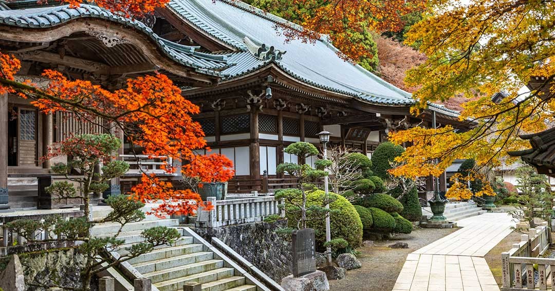 Top 3 Địa Điểm Ngắm Lá Mùa Thu Kanagawa Đẹp Mê Hồn Không Thể Bỏ Qua