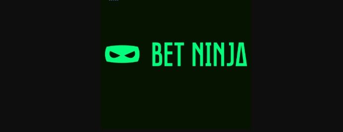 Bet Ninja Logo