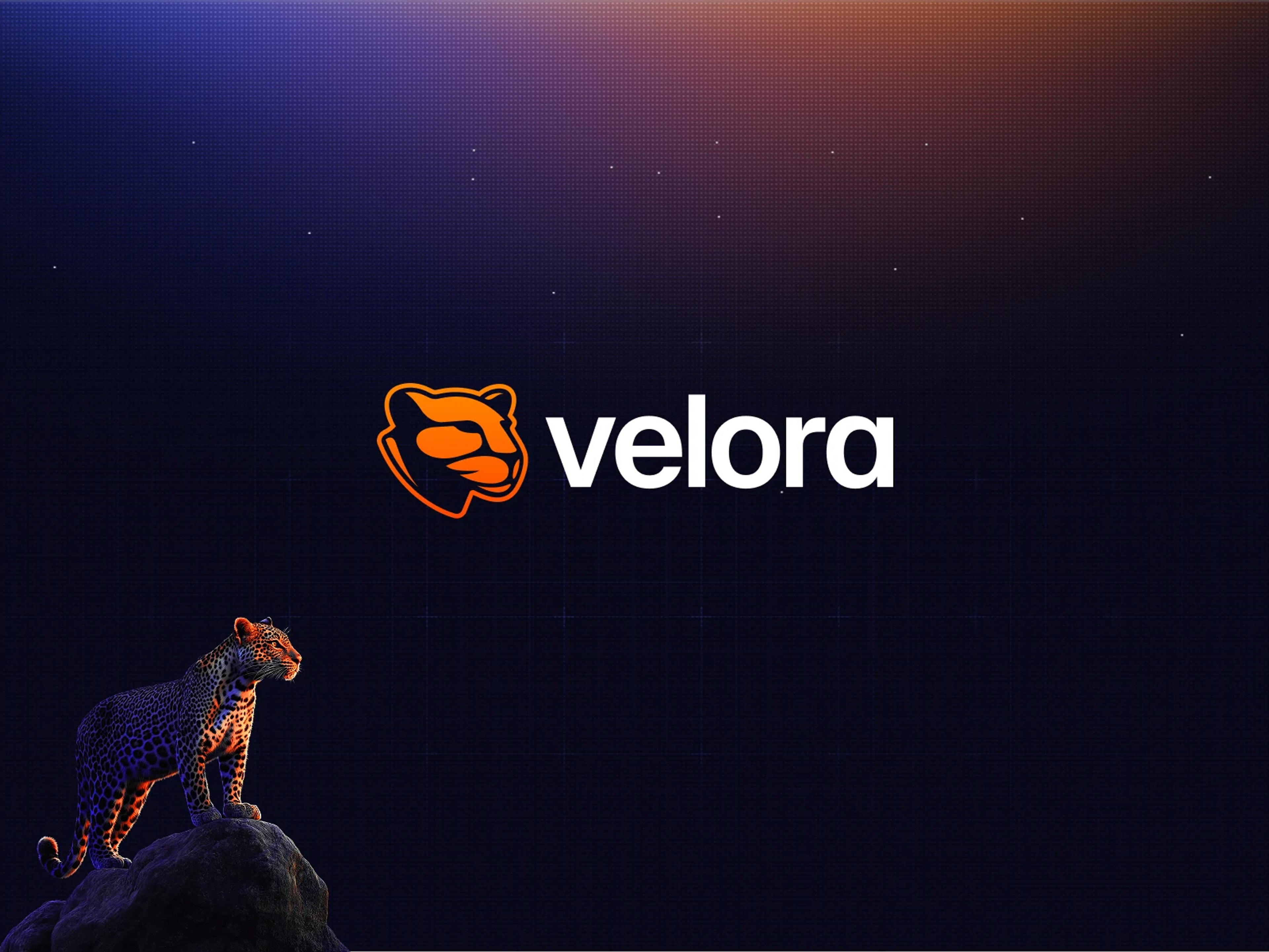 Velora, rebranded from ParaSwap