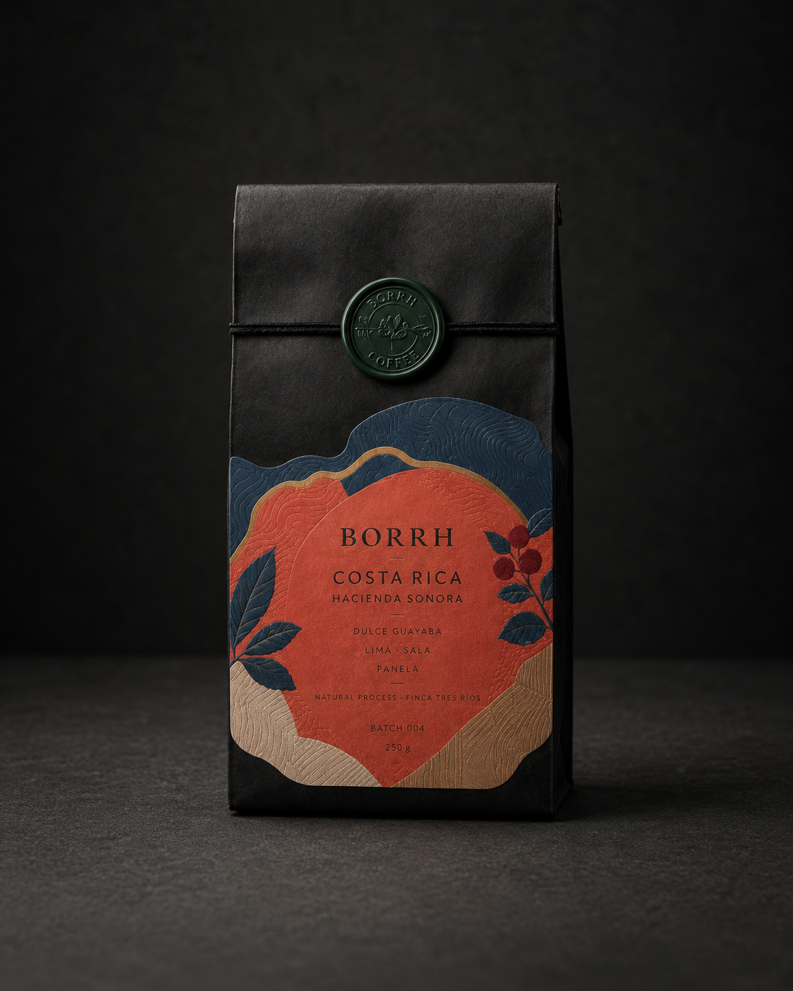 BORRH Costa Rica bag
