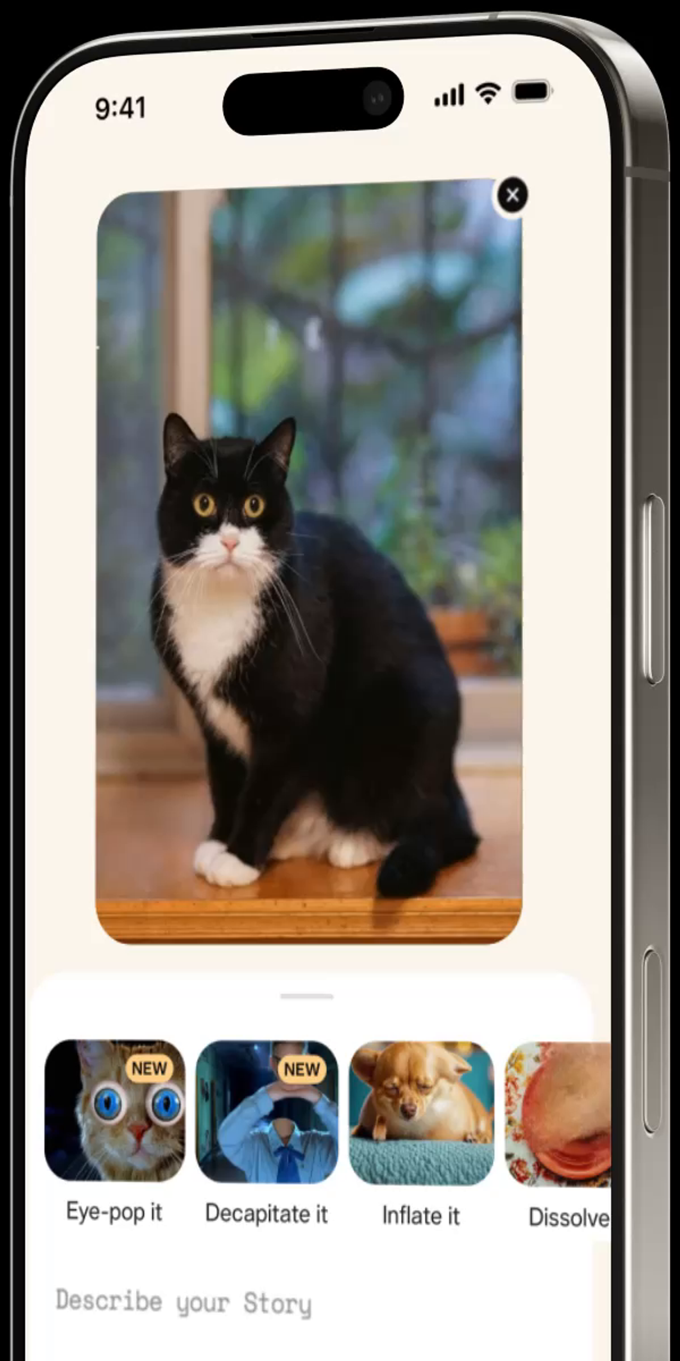 Pika mobile interface showing an AI video of a black-and-white cat and video effects.