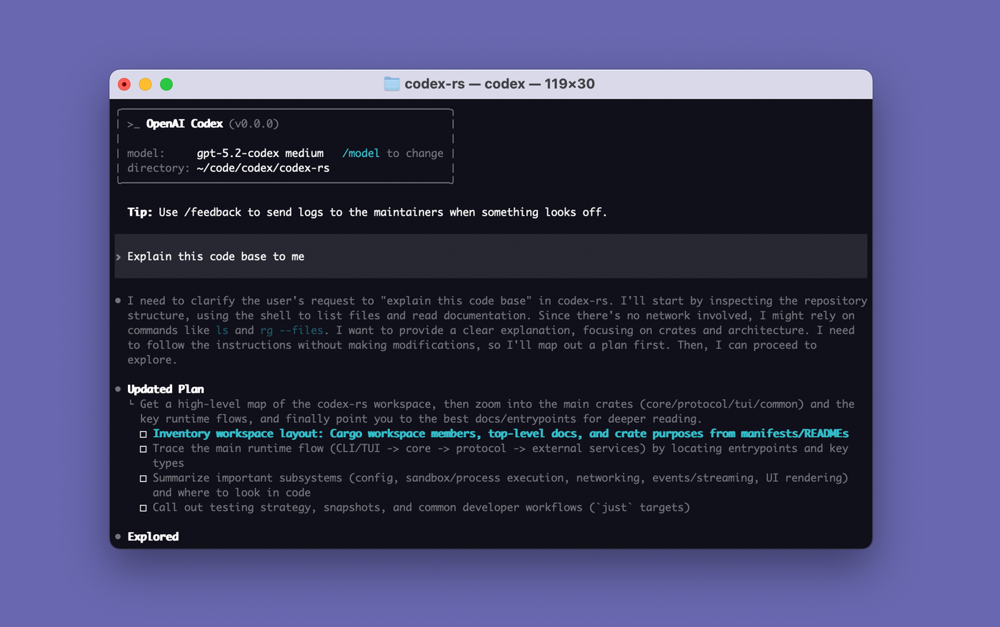 OpenAI Codex CLI in a terminal, showing a codebase-explanation task and an agent plan.