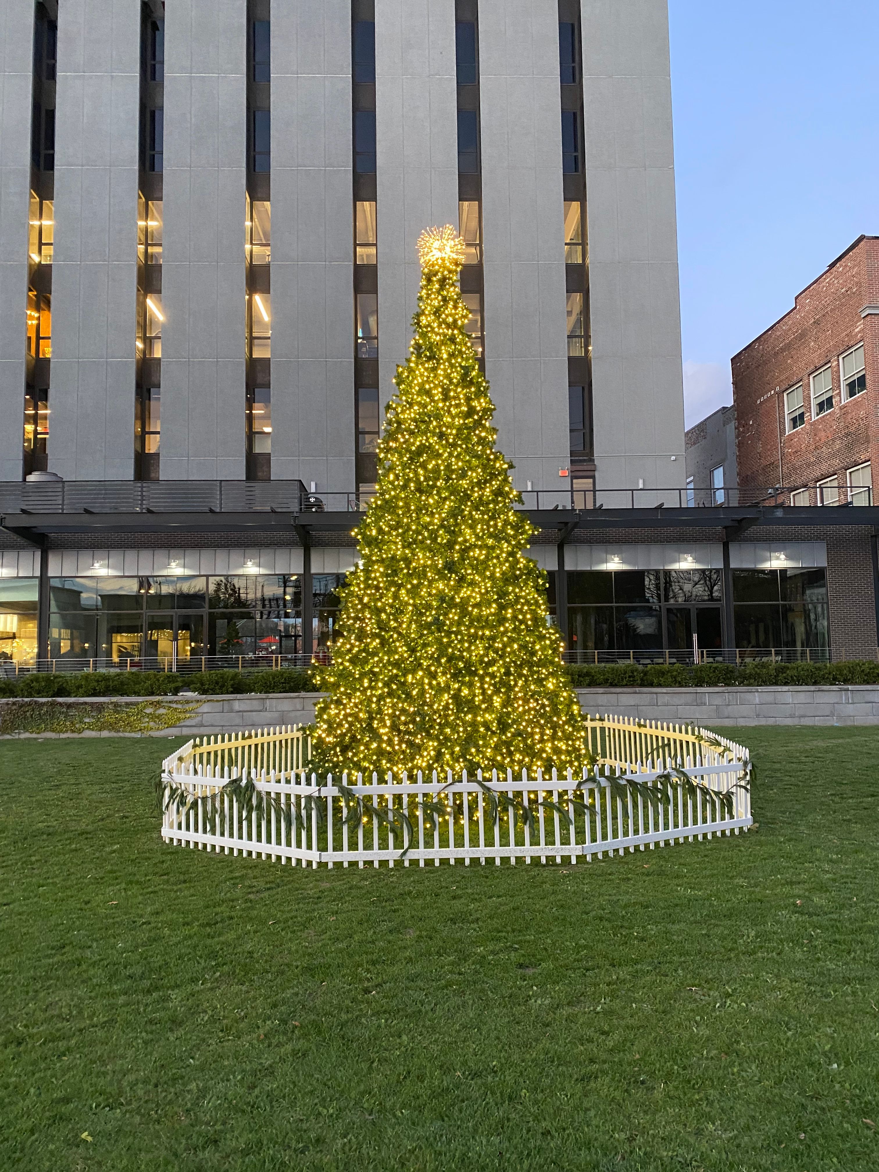 Large-scale Christmas tree in a city