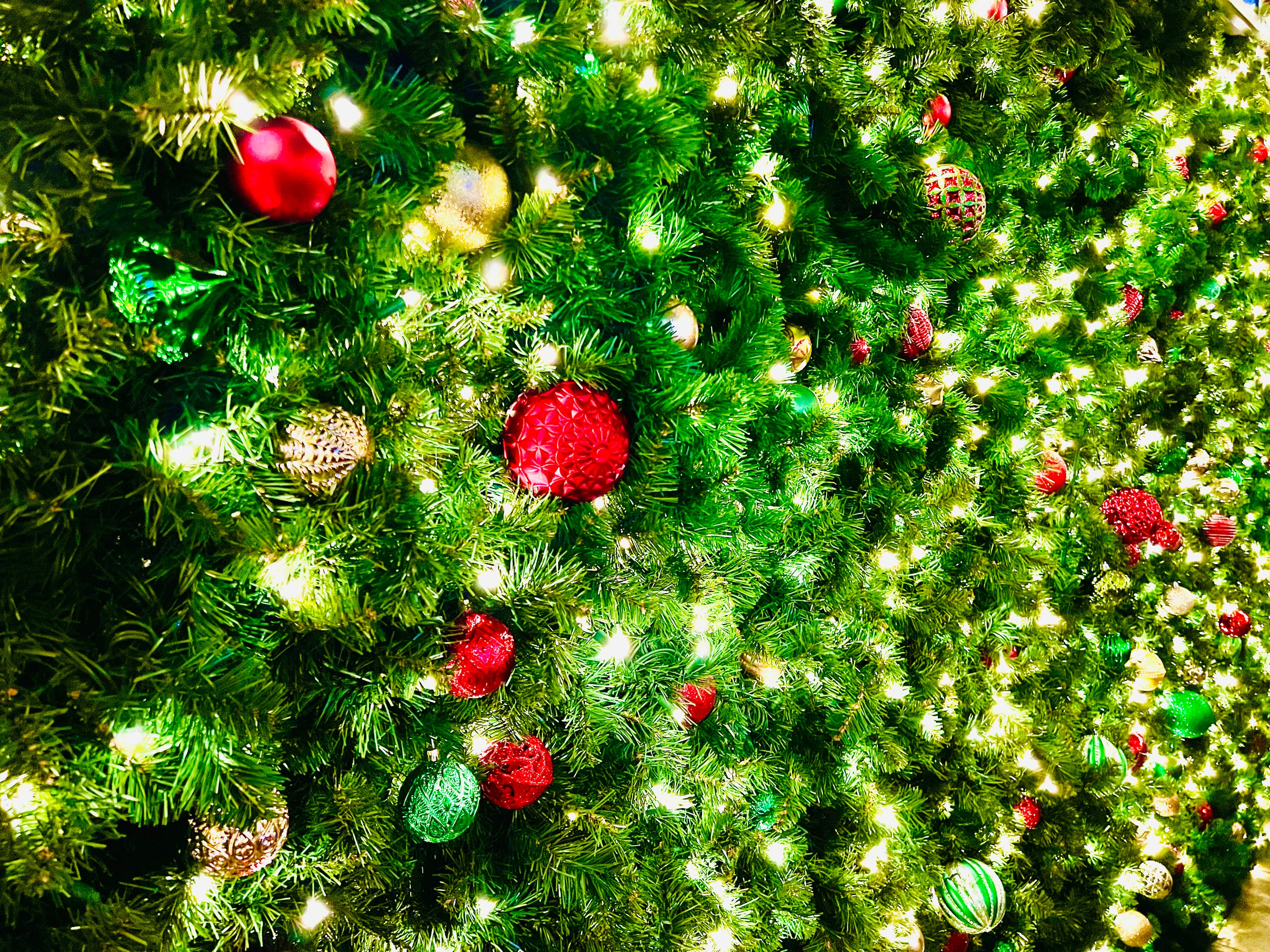 Christmas greenery wall 