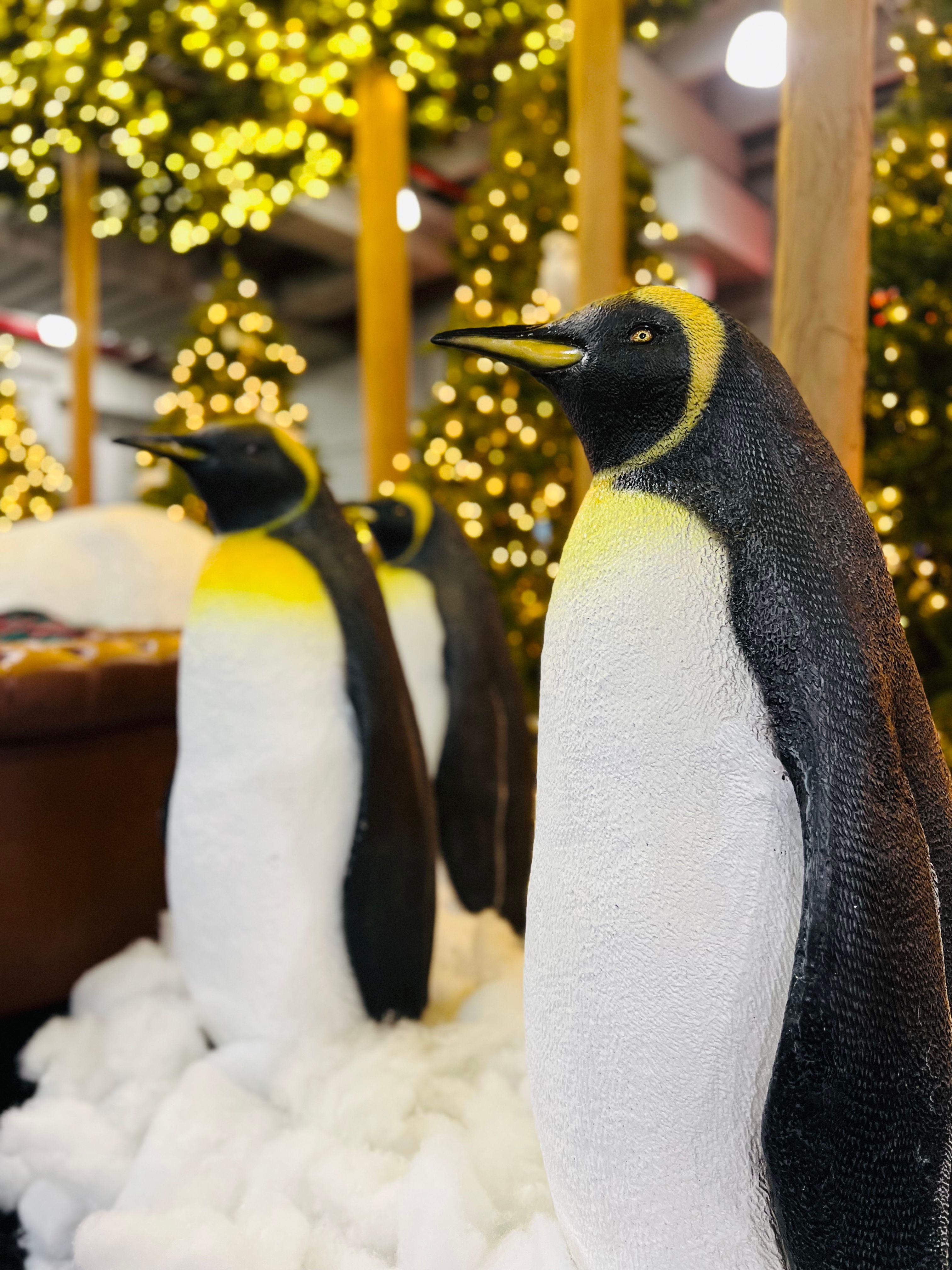 Penguin Christmas display