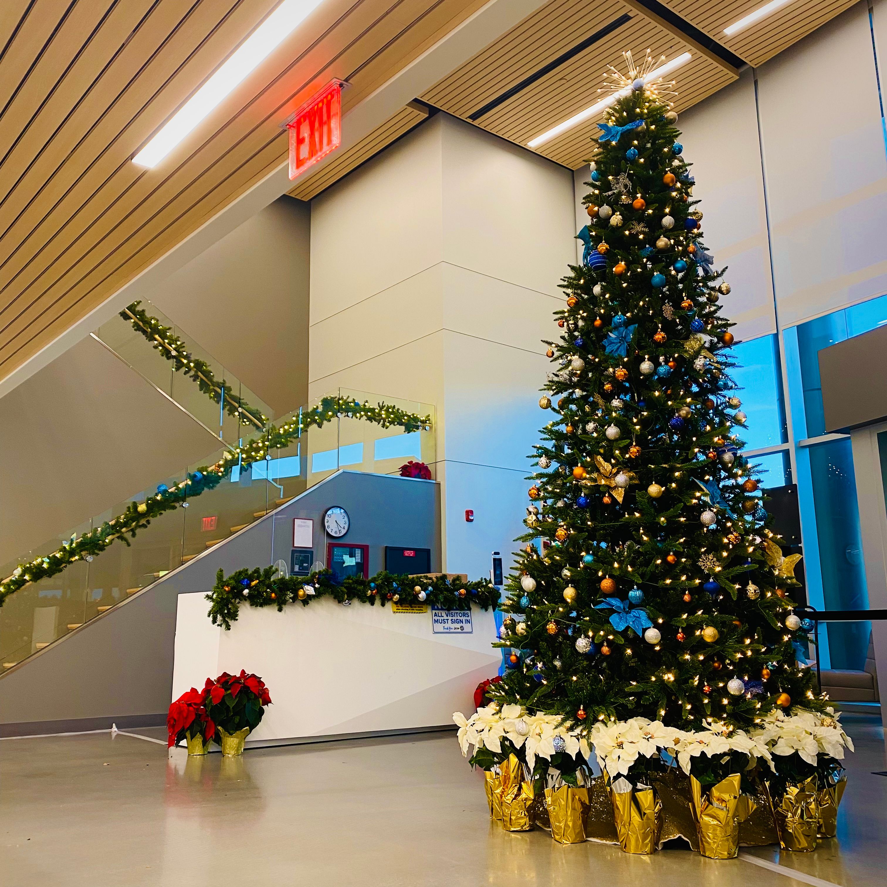 An office lobby with giant Christmas tree