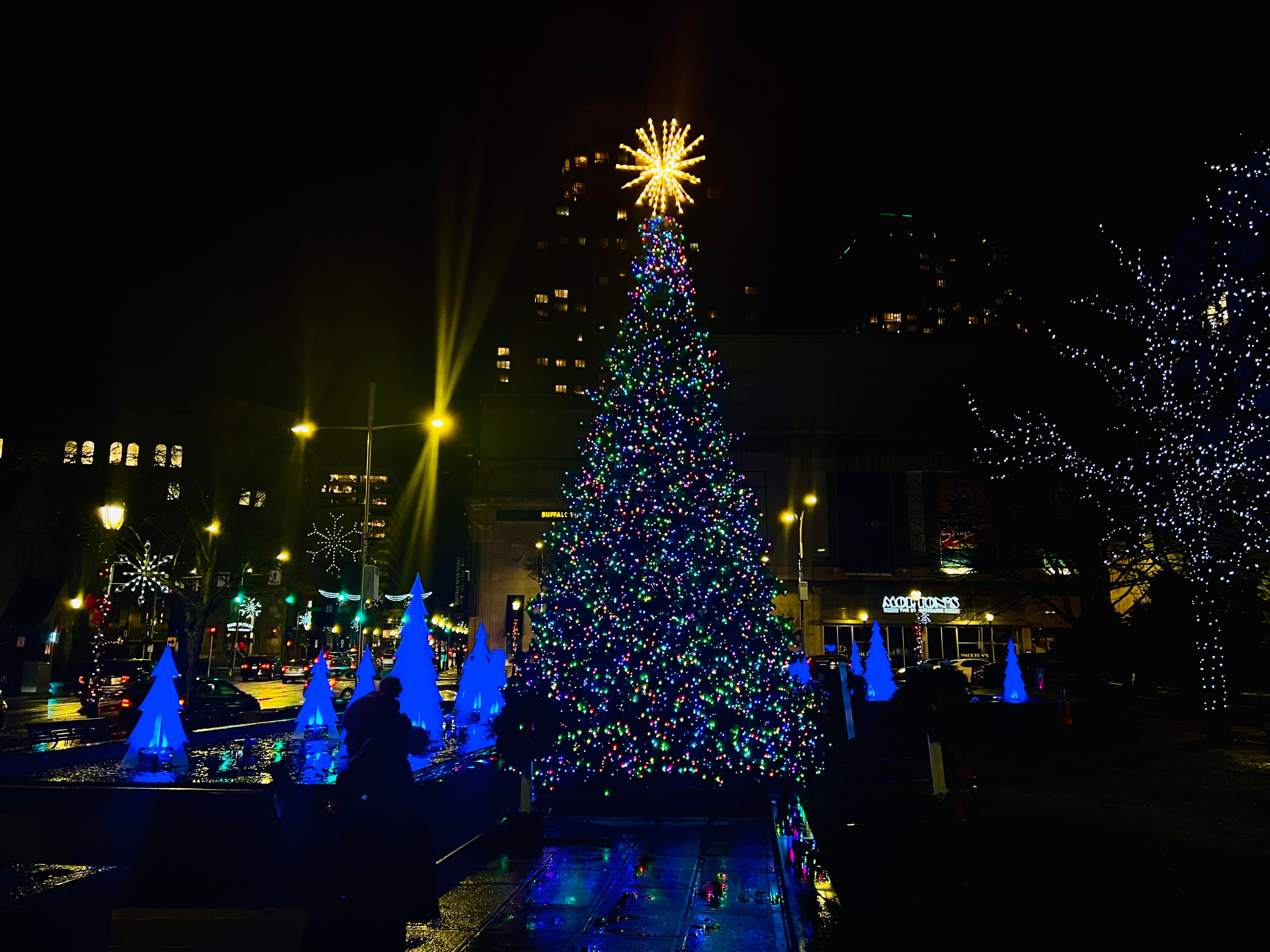 A 24' programmable RGB branch tree in Renaissance Plaza, City of White Plains, NY
