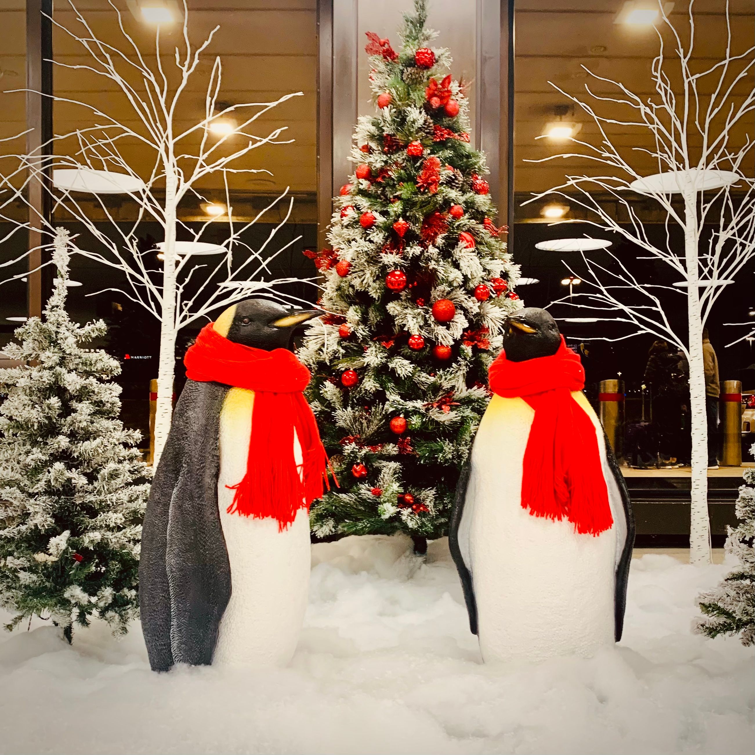 A winter display of penguins and artificial Christmas trees