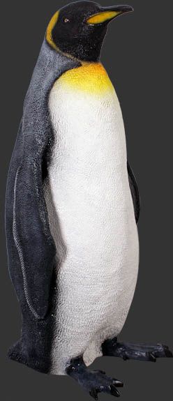 Life-Size Resin King Penguin Figure, Angled View