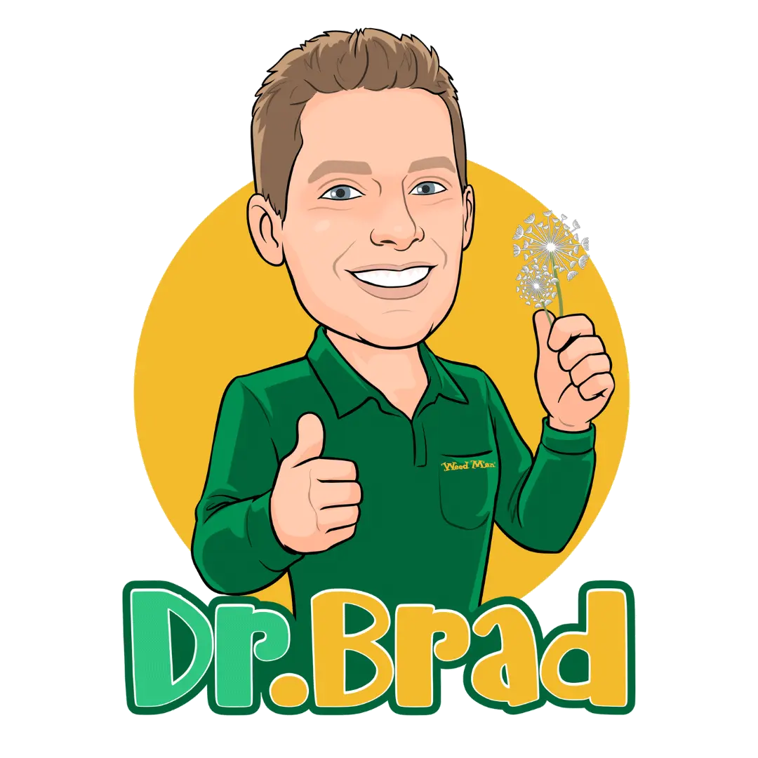 Dr. Brad - Author