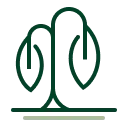 Disease Control Icon