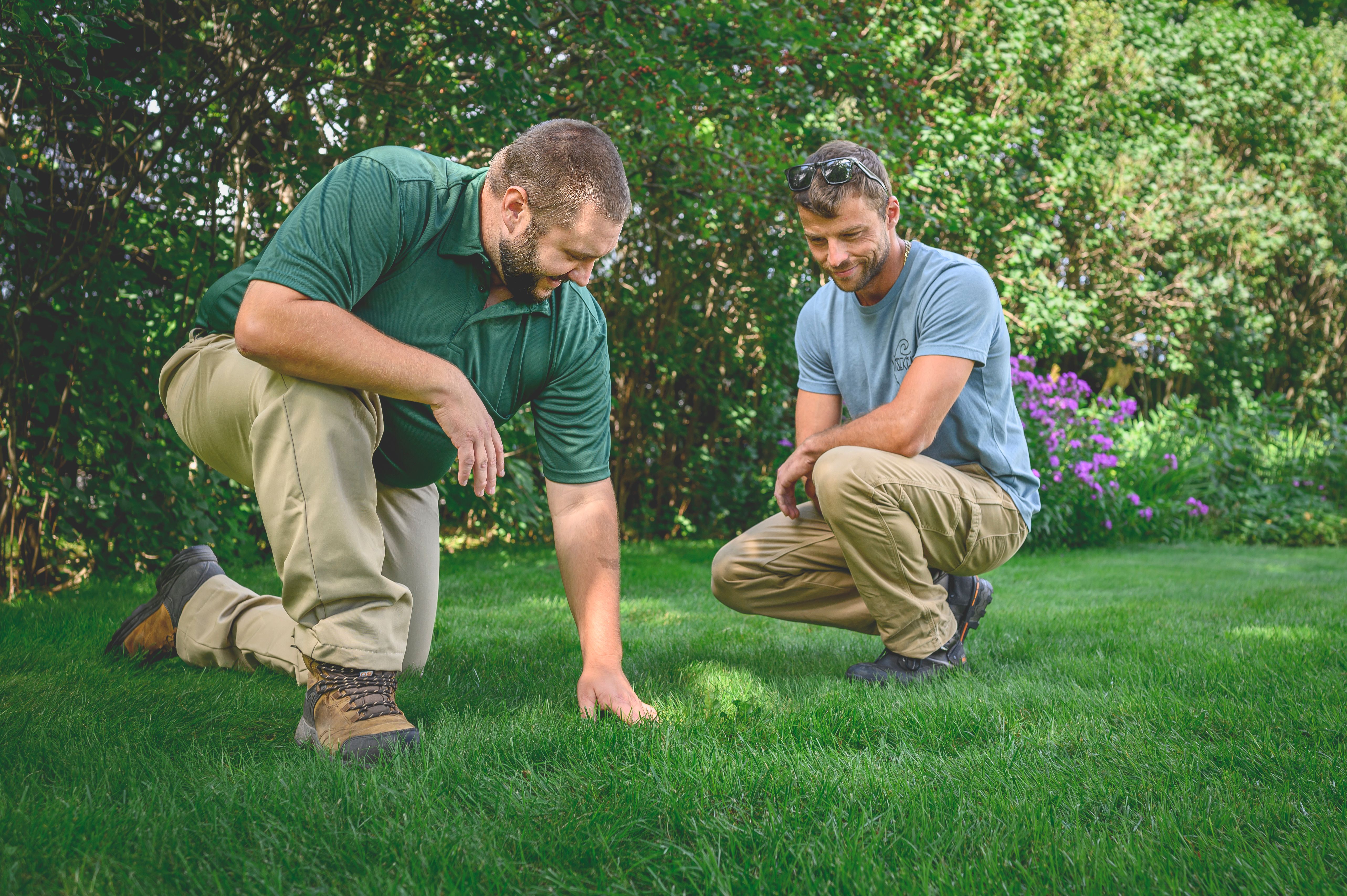 What is Integrated Pest Management?