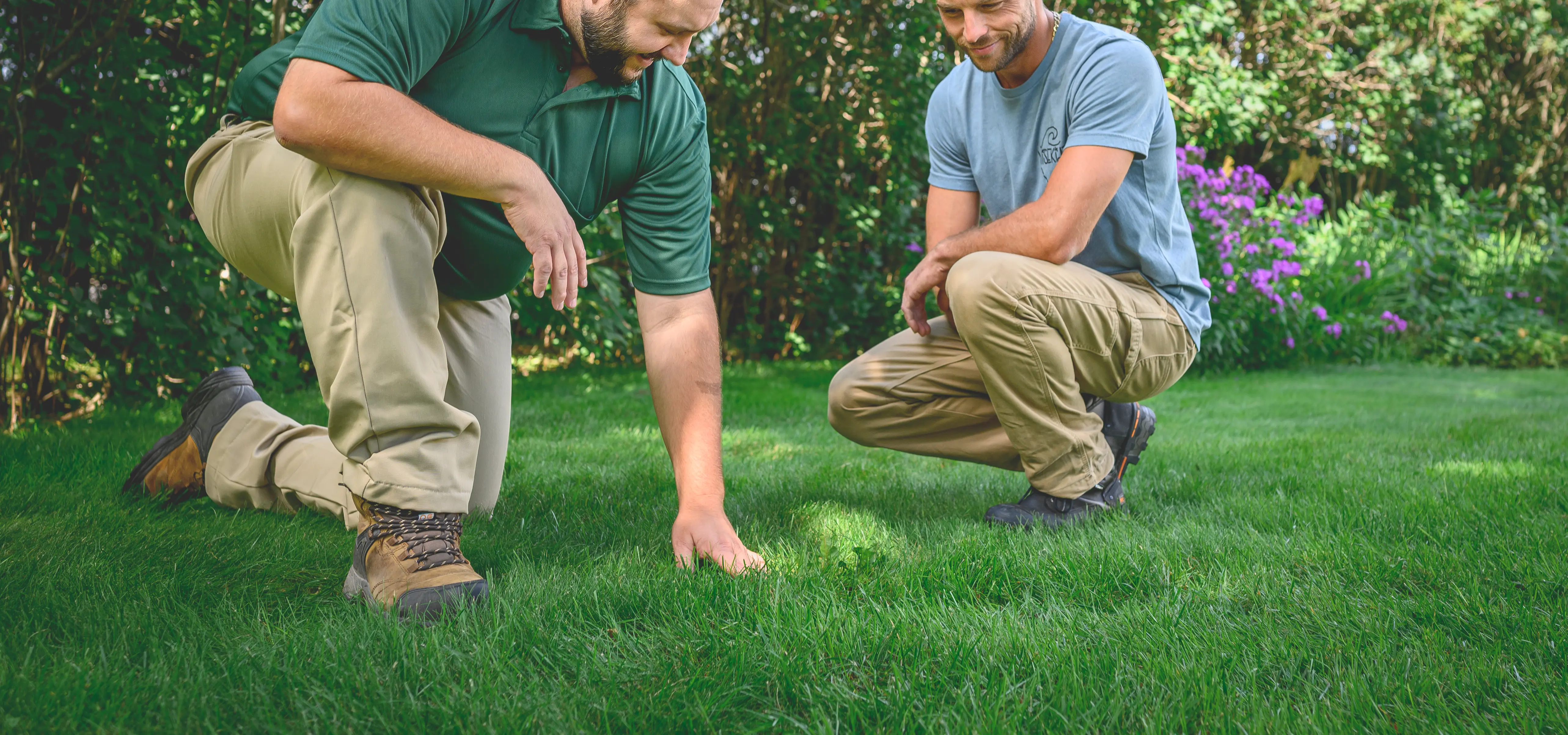 What is Integrated Pest Management?