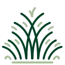 Crabgrass Control Icon