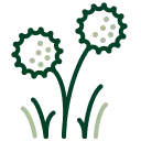 Weed Control Icon