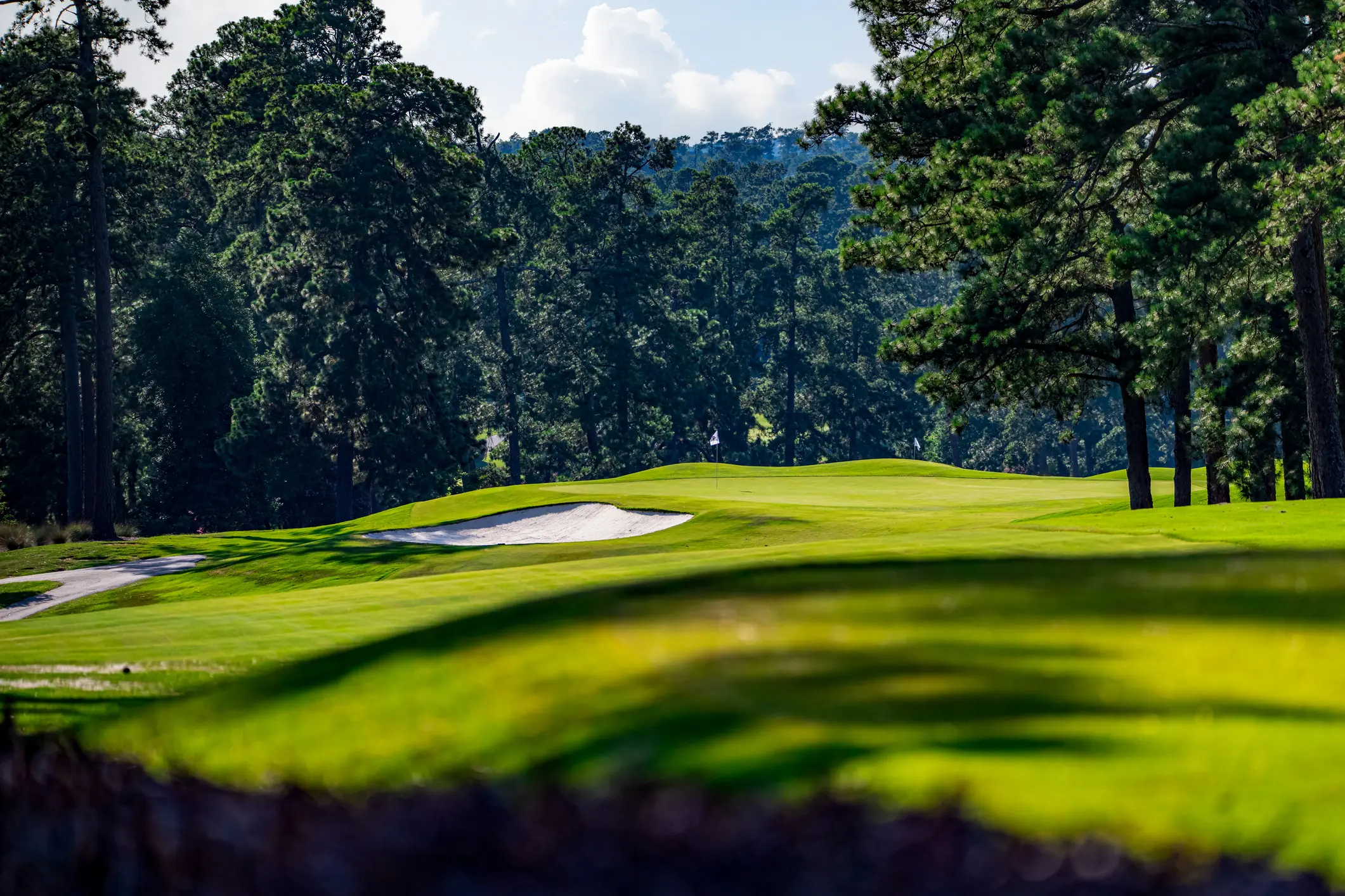 Overseeding: A Slice of Augusta at Home
