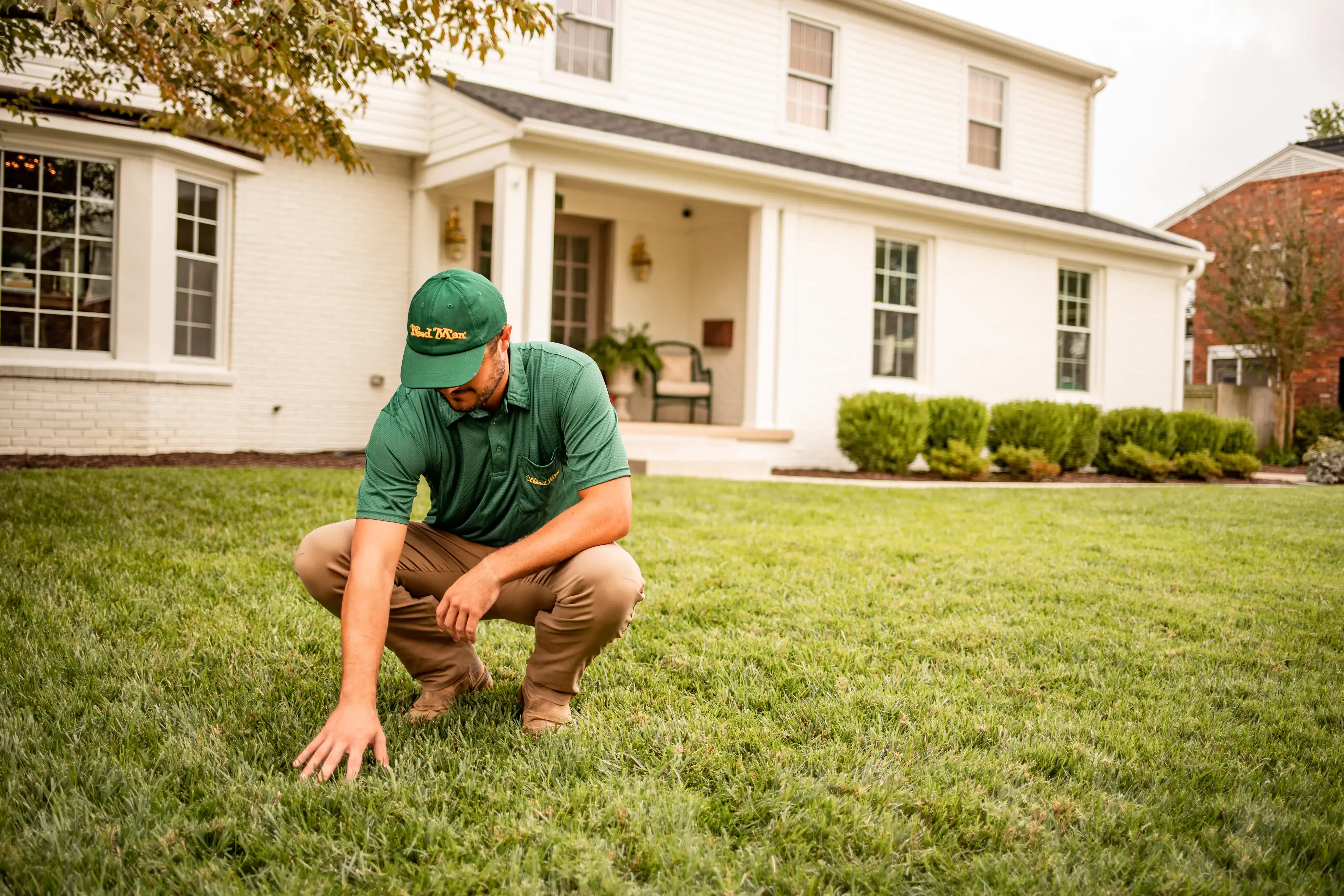 Your Weed Man Lawn Care Program