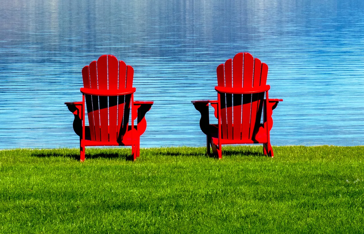 5 Common Lawn Problems in Muskoka, Haliburton, & Parry Sound (Solved)