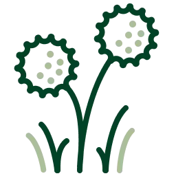 LAWN DISEASE Icon