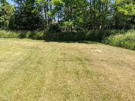 WHAT DOES DROUGHT STRESS ON MY LAWN REALLY LOOK LIKE?