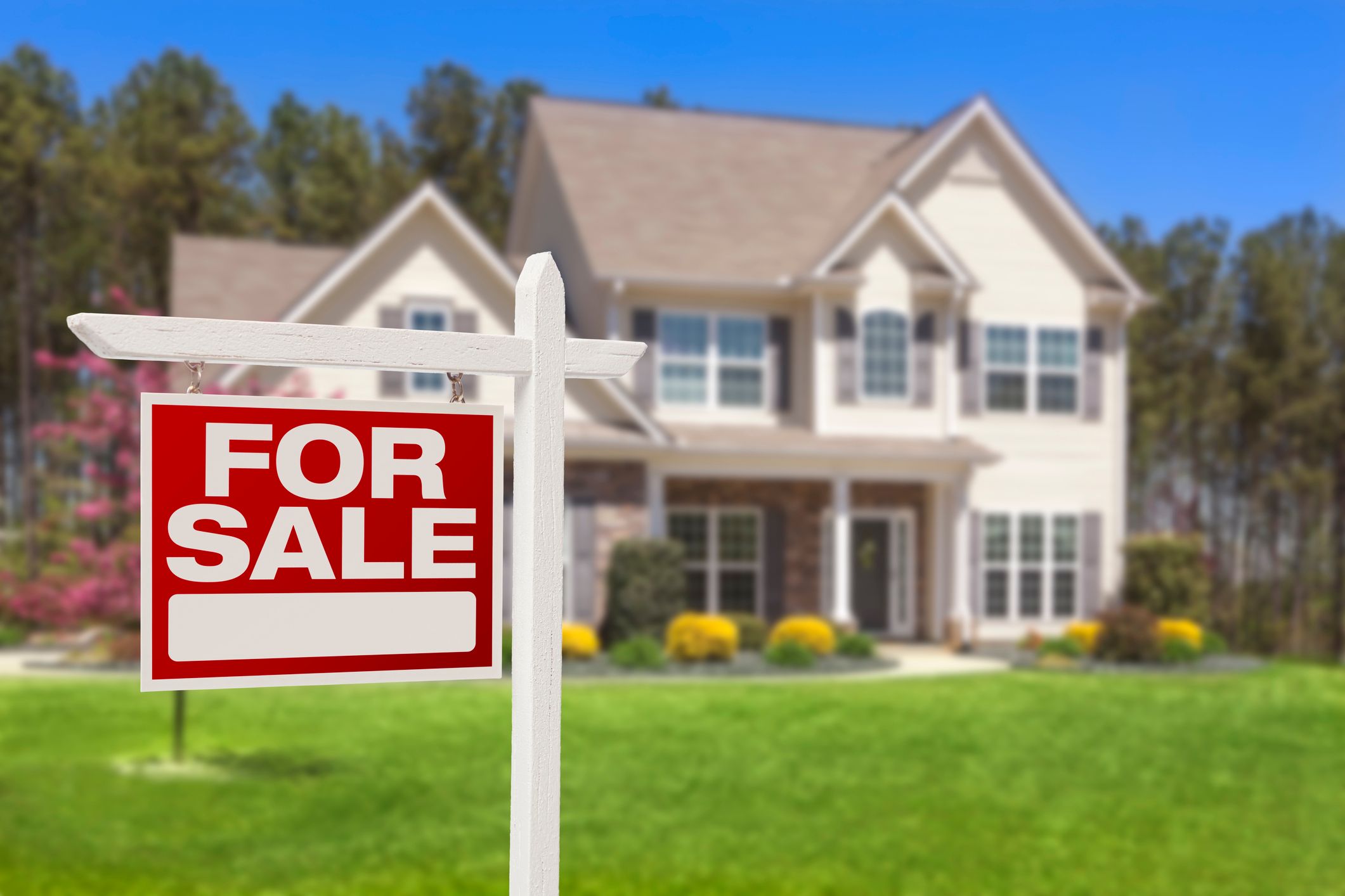 Your Lawn and Your Home Value
