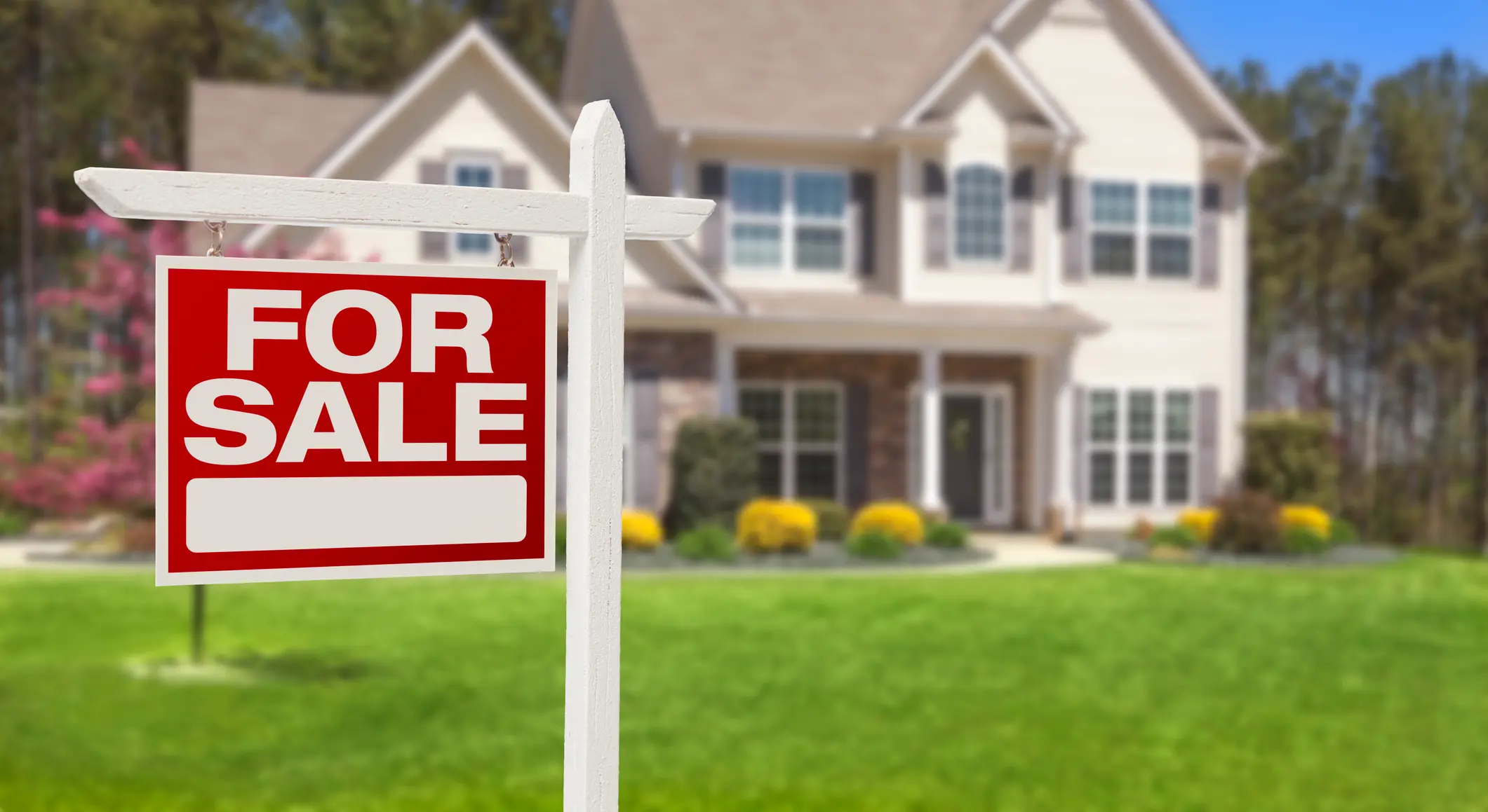 Your Lawn and Your Home Value