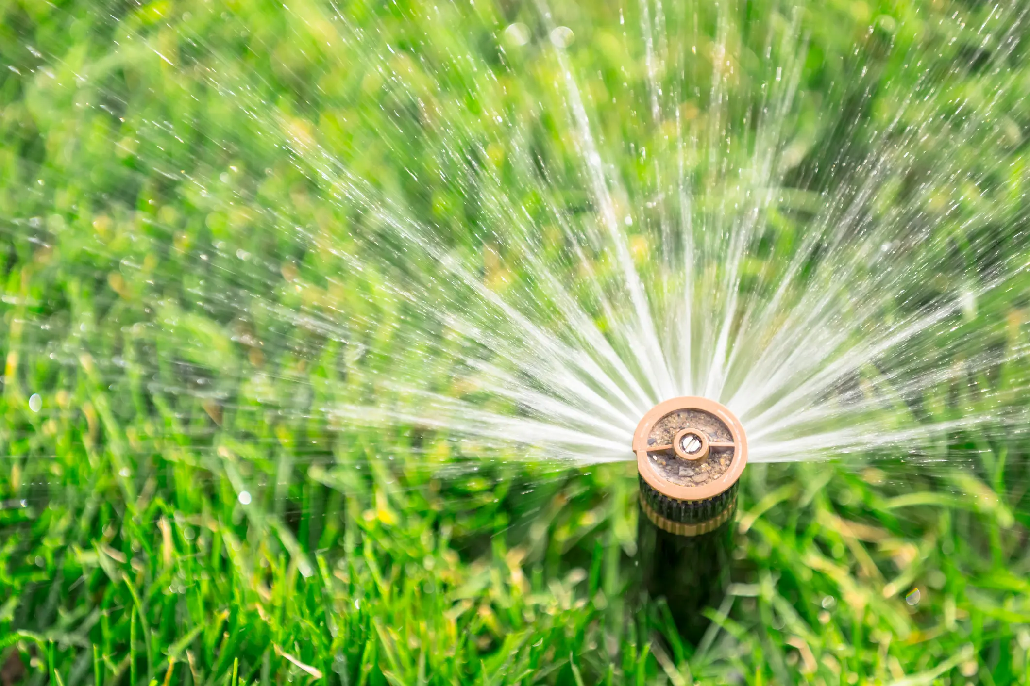 THE ULTIMATE GUIDE TO WATERING YOUR LAWN  - Resource Image