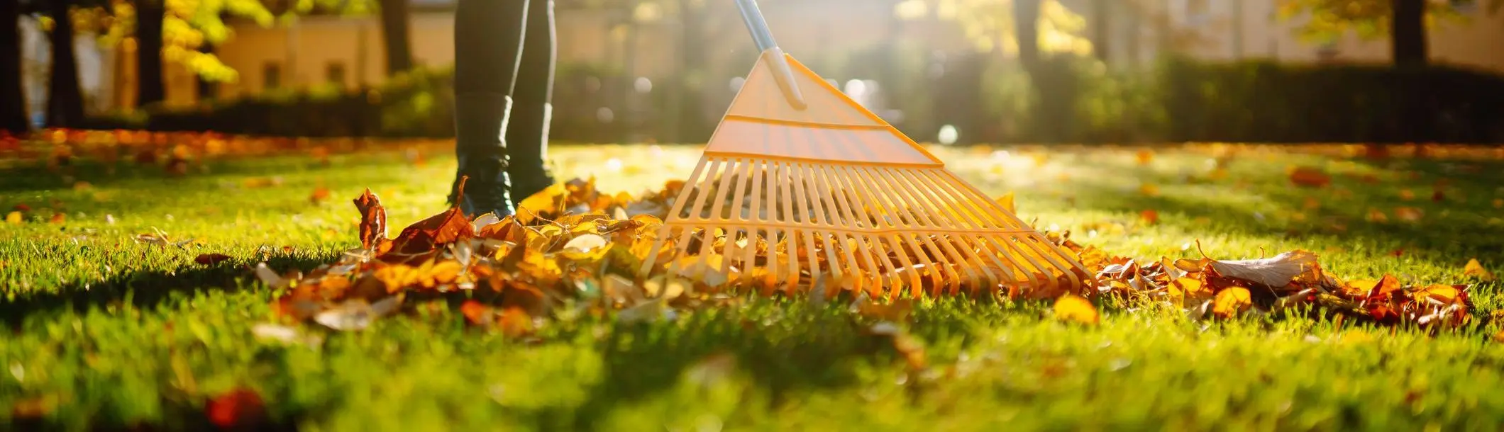 What Should You Do to Your Lawn in Fall? A Complete Checklist