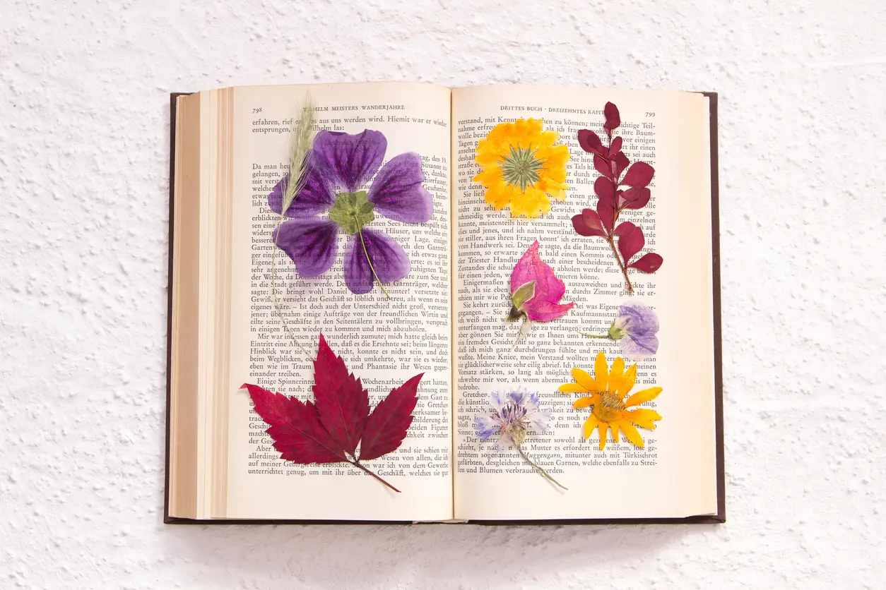 A Flower Pressing Activity For The Whole Family