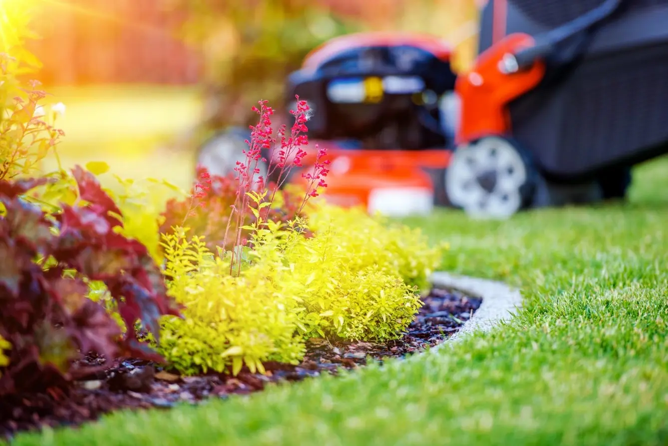 The Last Cut of The Season: When to Stop Mowing Your Lawn