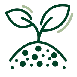 NAME THAT WEED Icon