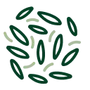 Overseeding Icon